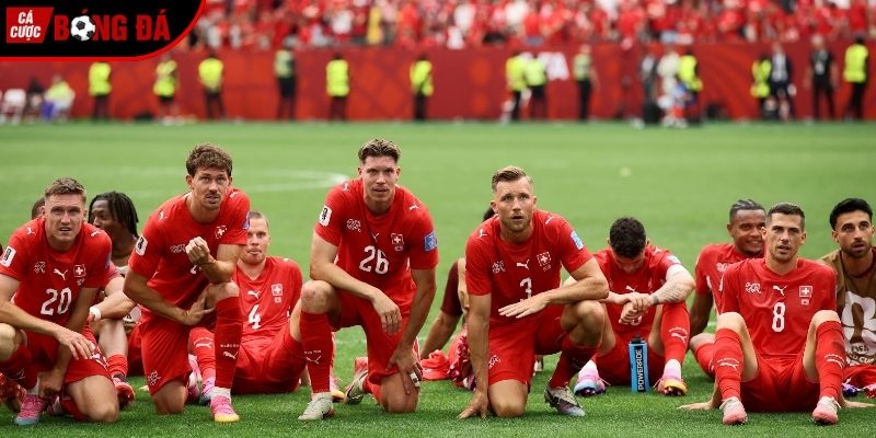 Soi kèo Nam Phi vs Canada chi tiết